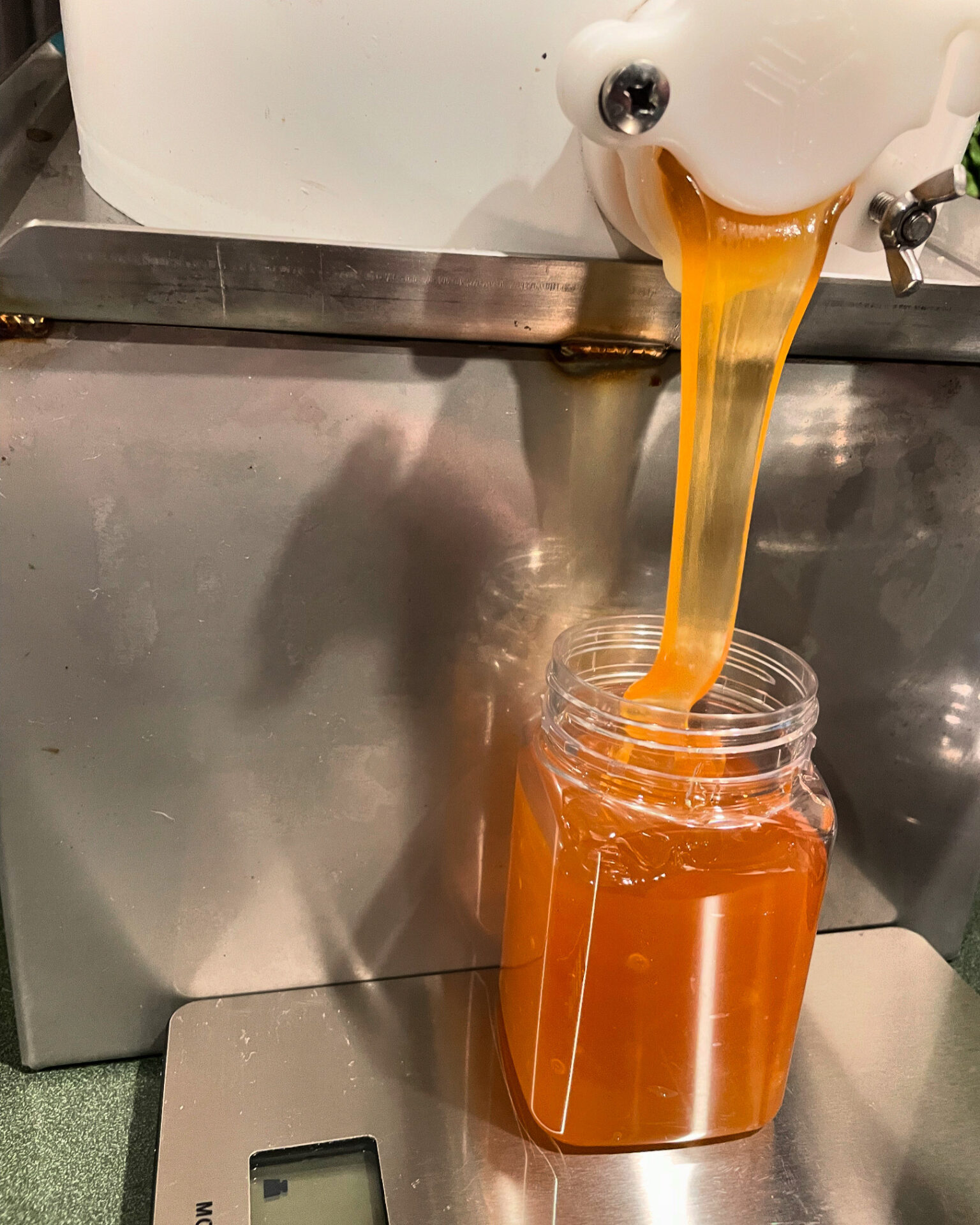 Gielen Family farm honey extraction