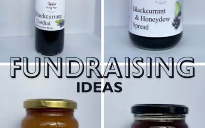 Ditch the Bake Sale! Fundraising Ideas