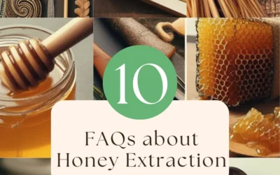 FAQ – Honey Extraction Service