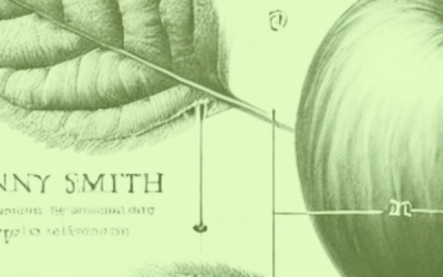Why are they called Granny Smiths?