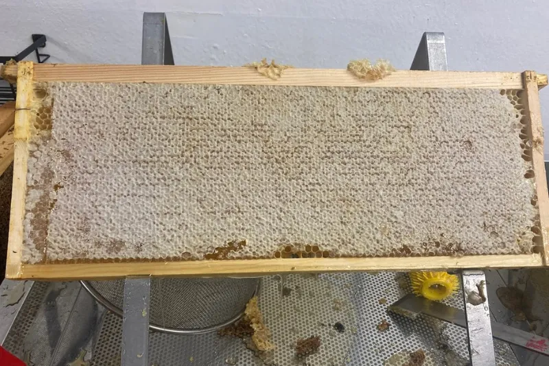 How Can I Tell If Honey Is Ready for Extraction?