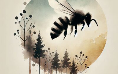 Helping Bees Through Wet Summer
